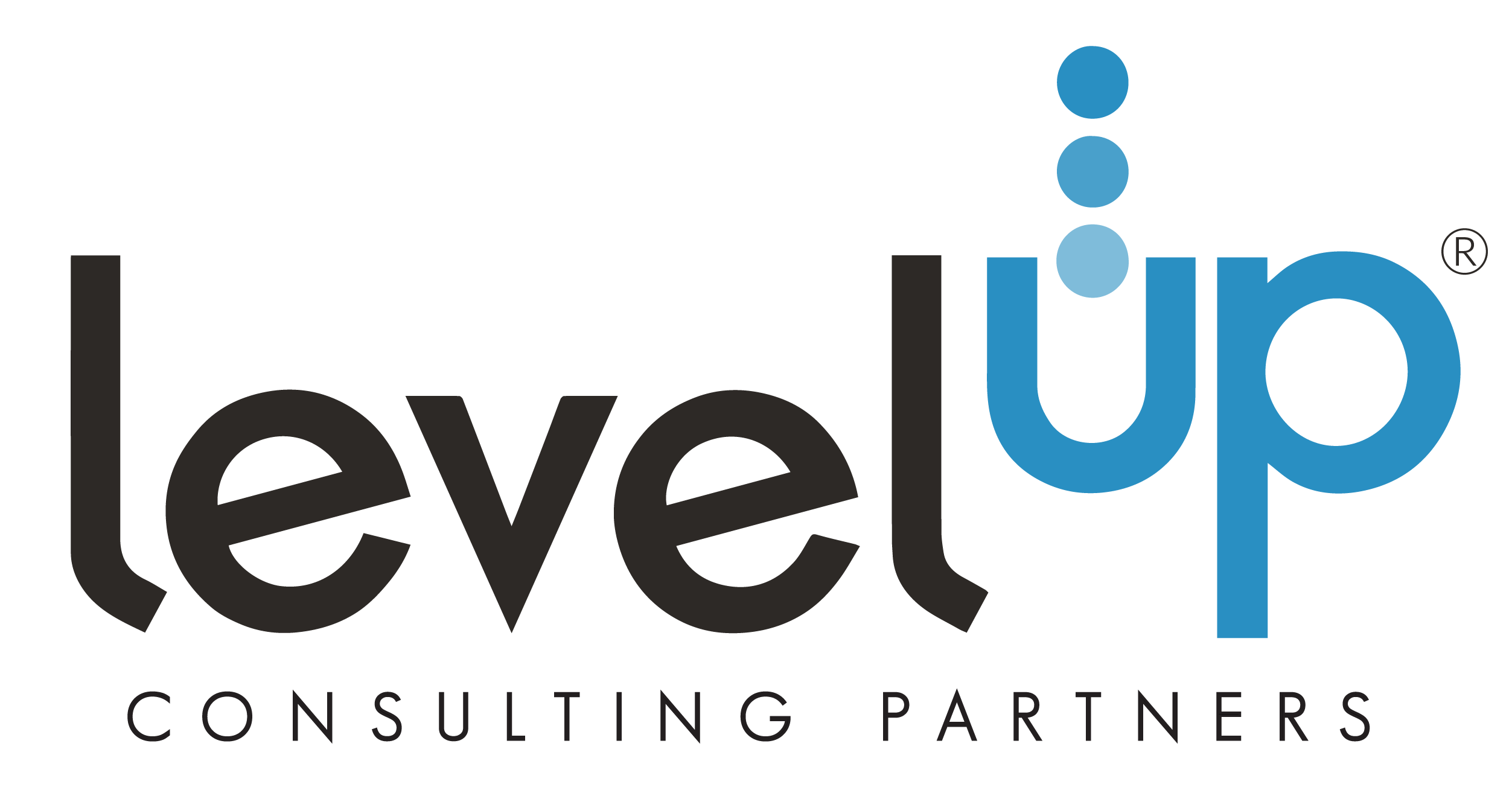 LevelUP_ConsultingPartners_-01